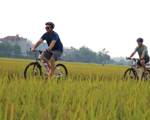 Hanoi City Tour by Bicycle