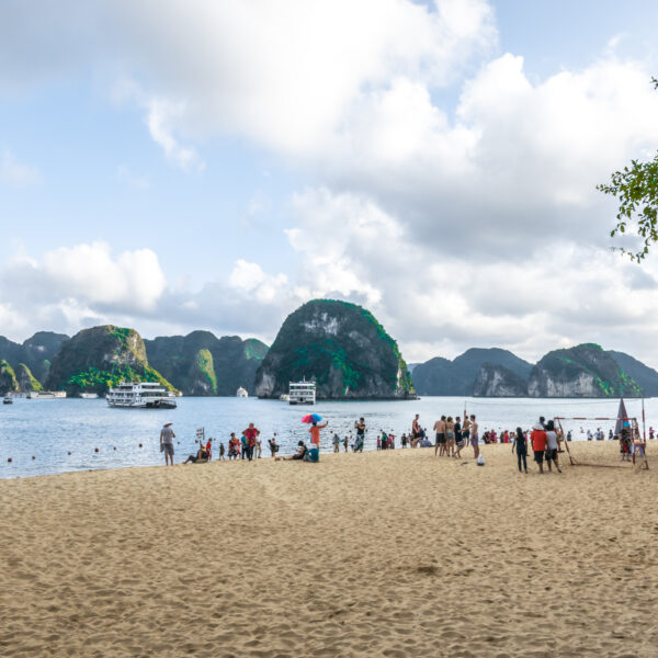 Tourists enjoying panoramic view of Ha Long Bay from Titop Island viewpoint