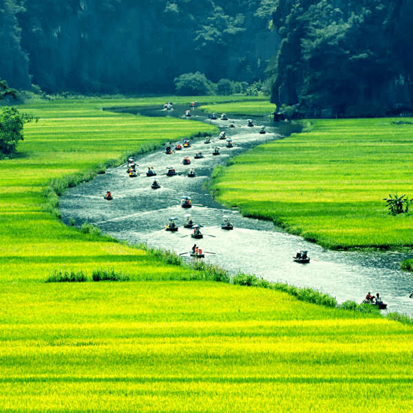 Rowboat ride through the limestone caves of Tam Coc, Ninh Binh